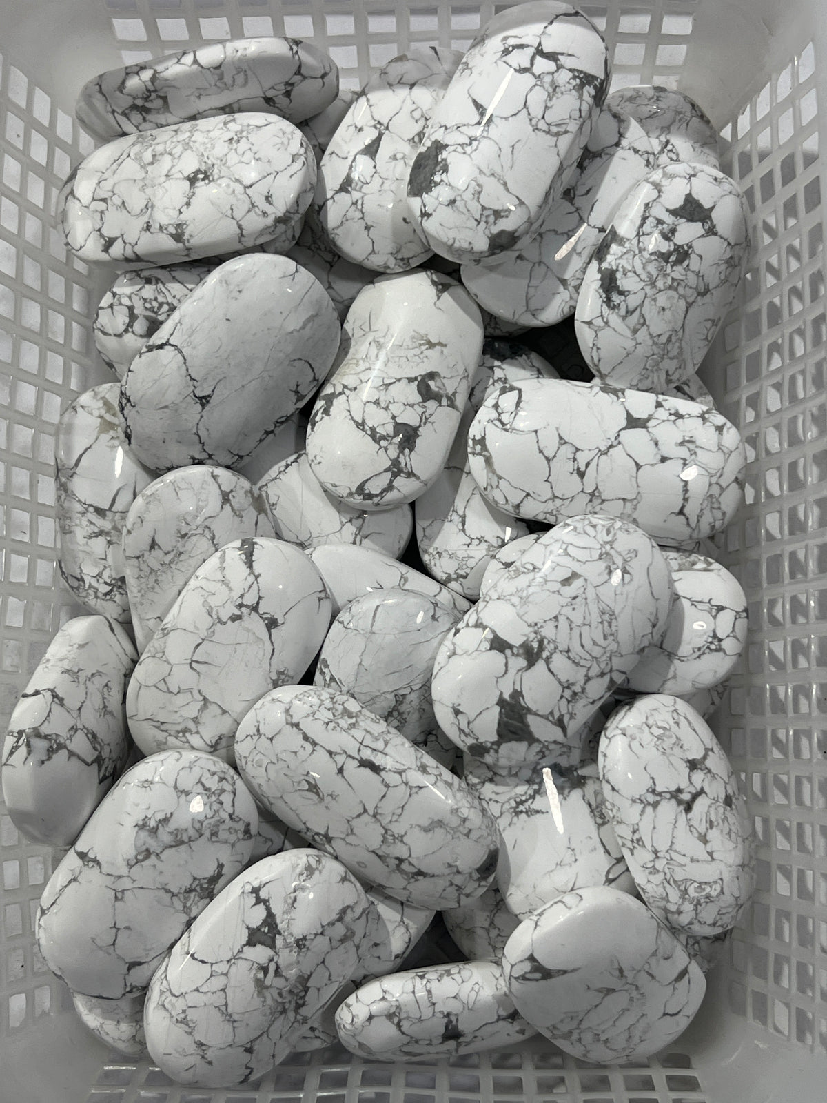 Howlite Palms