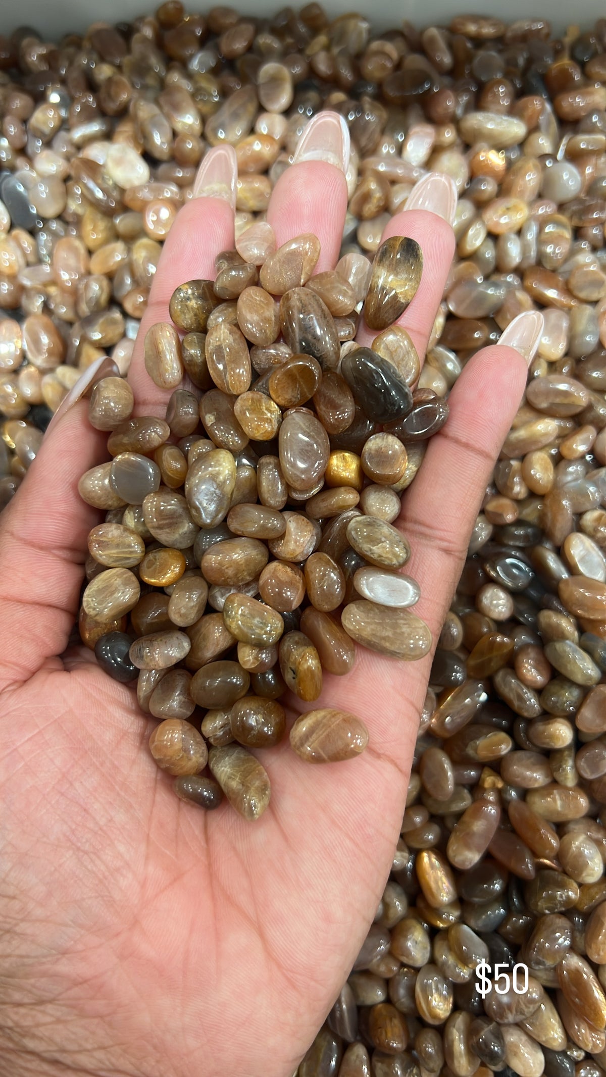 Golden Moonstone Chips